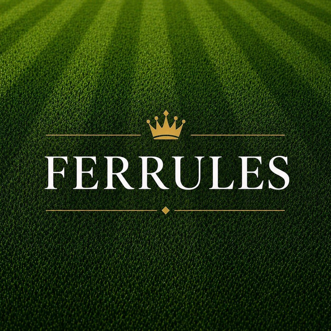 Ferrules
