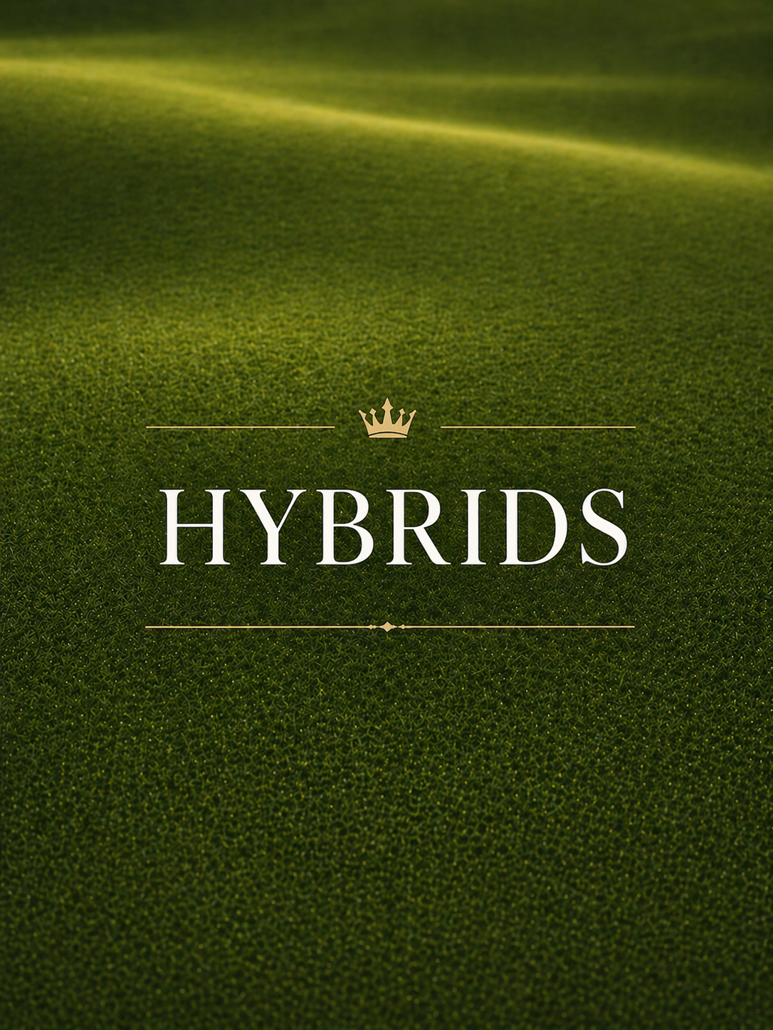 Hybrids