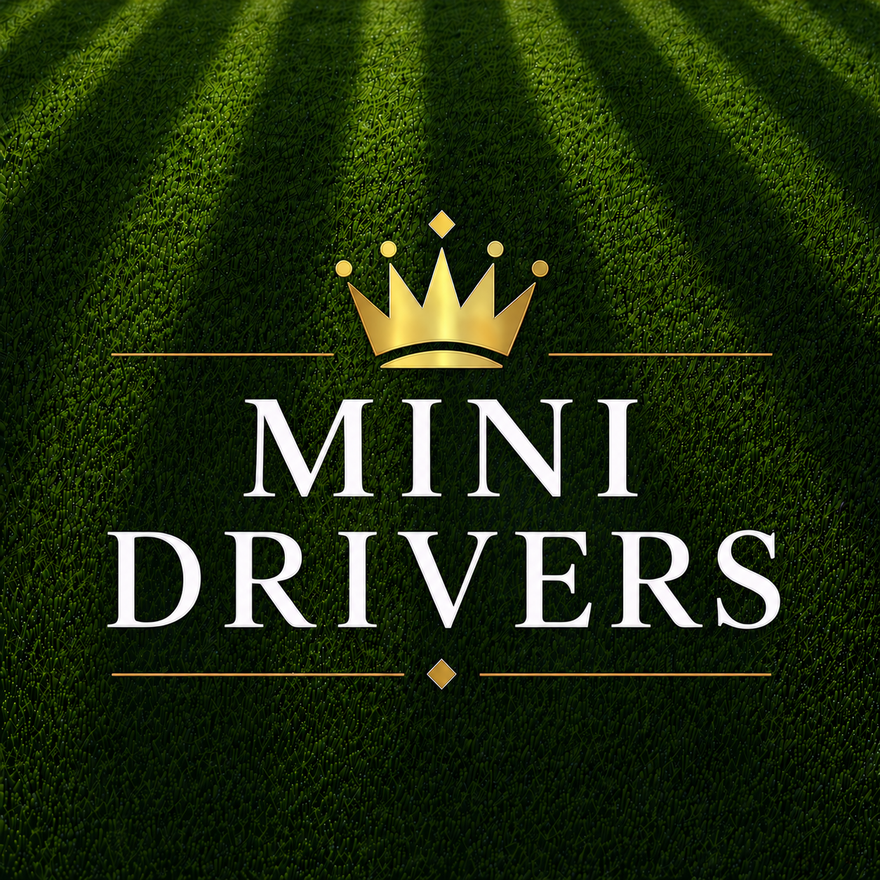 Mini Drivers
